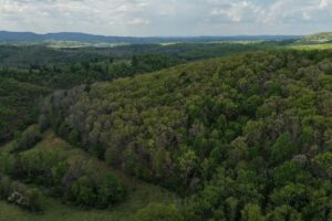 Property photo for land for sale in Floyd County Virginia