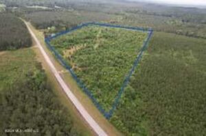 Property photo for land for sale in Lawrence County Mississippi