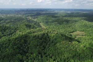 Property photo for land for sale in Casey County Kentucky