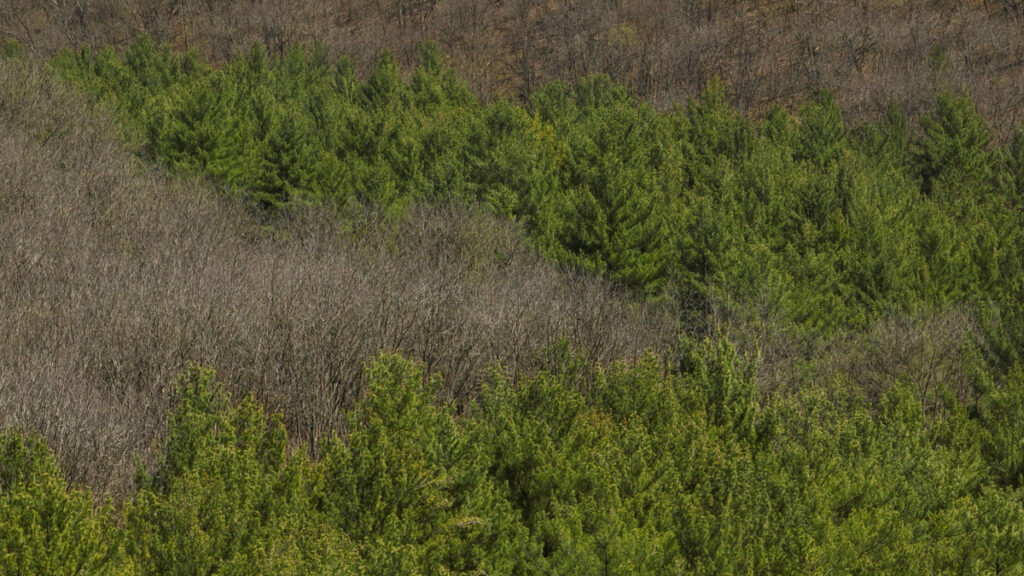7ac96623-3d9c-4c90-aa76-2c4aa2fb08a1.jpg
