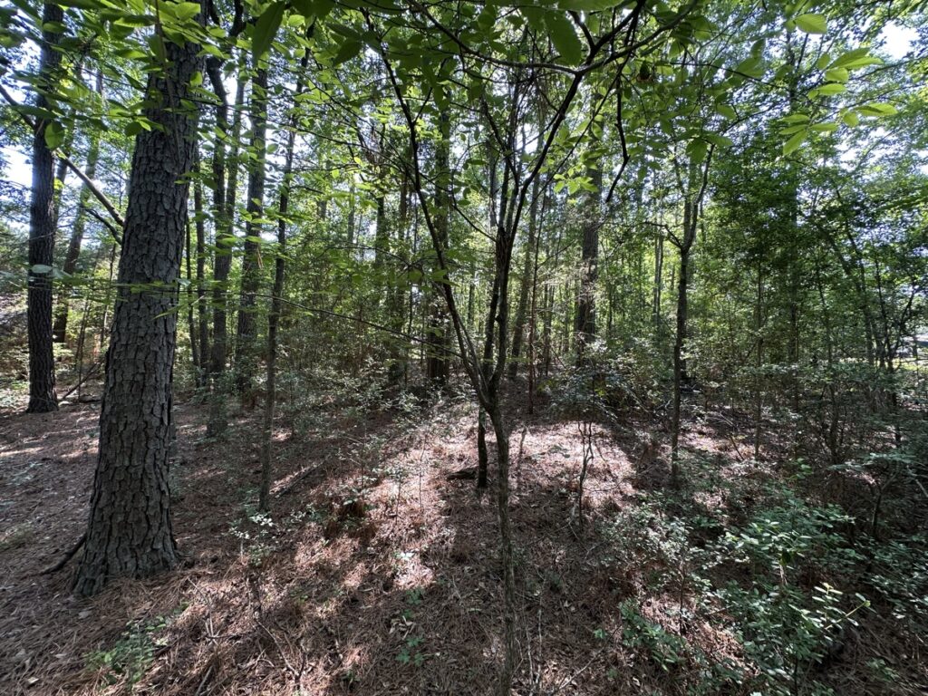 Property photo for land for sale in Cherokee County Texas