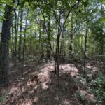 Property photo for land for sale in Cherokee County Texas