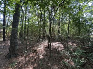 Property photo for land for sale in Cherokee County Texas