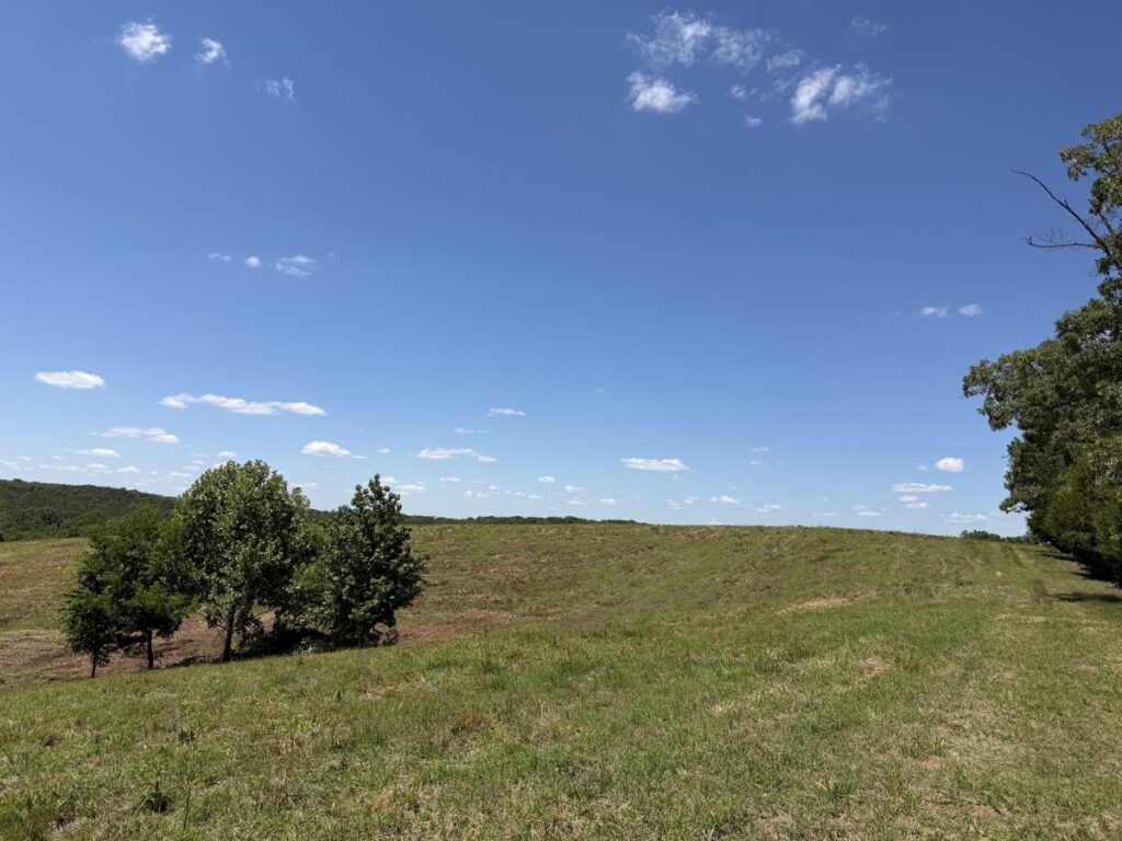 80ac53d0-3f3c-426f-988d-1b59ca3bc51a.jpg