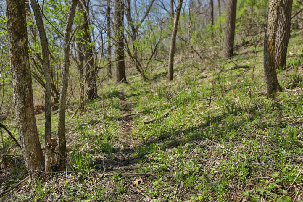 812718f5-3628-44bf-9d37-bc35ff9d0f99.jpg