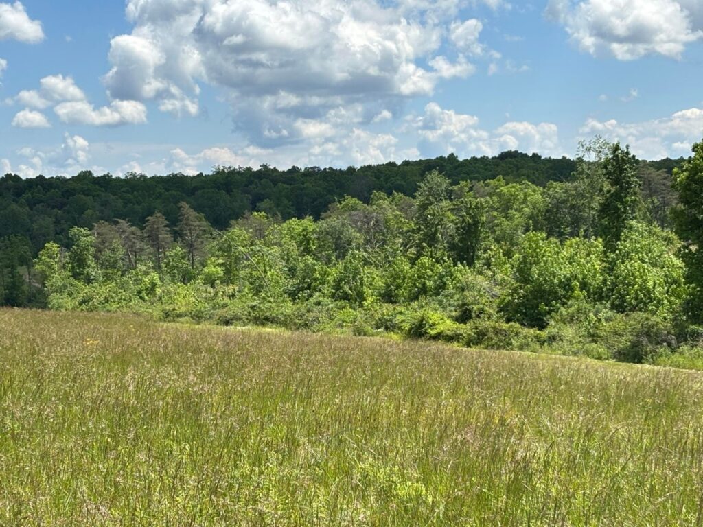 Property photo for land for sale in Bledsoe County Tennessee