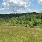 Property photo for land for sale in Bledsoe County Tennessee
