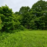 Property photo for land for sale in Ozark County Missouri