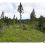 Property photo for land for sale in Clark County Washington
