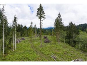 Property photo for land for sale in Clark County Washington