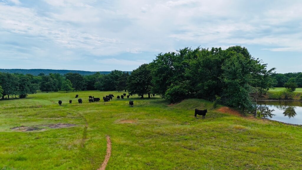 Property photo for land for sale in McIntosh County Oklahoma