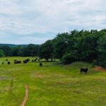 Property photo for land for sale in McIntosh County Oklahoma