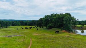 Property photo for land for sale in McIntosh County Oklahoma