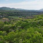 Property photo for land for sale in Bath County Virginia