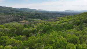 Property photo for land for sale in Bath County Virginia