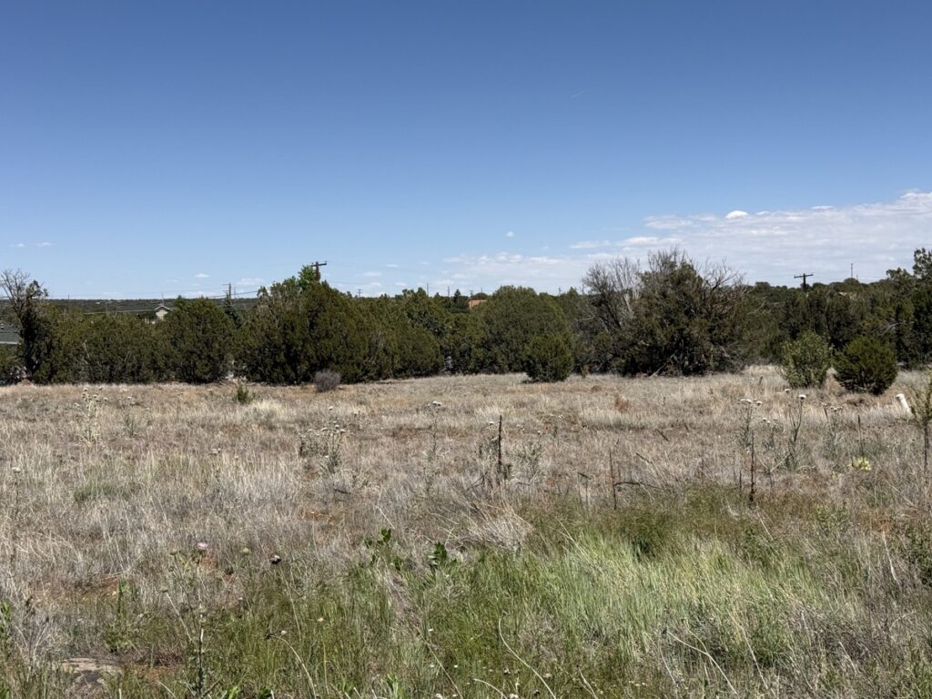 Property photo for land for sale in Navajo County Arizona