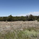Property photo for land for sale in Navajo County Arizona