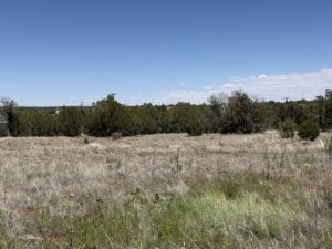 Property photo for land for sale in Navajo County Arizona