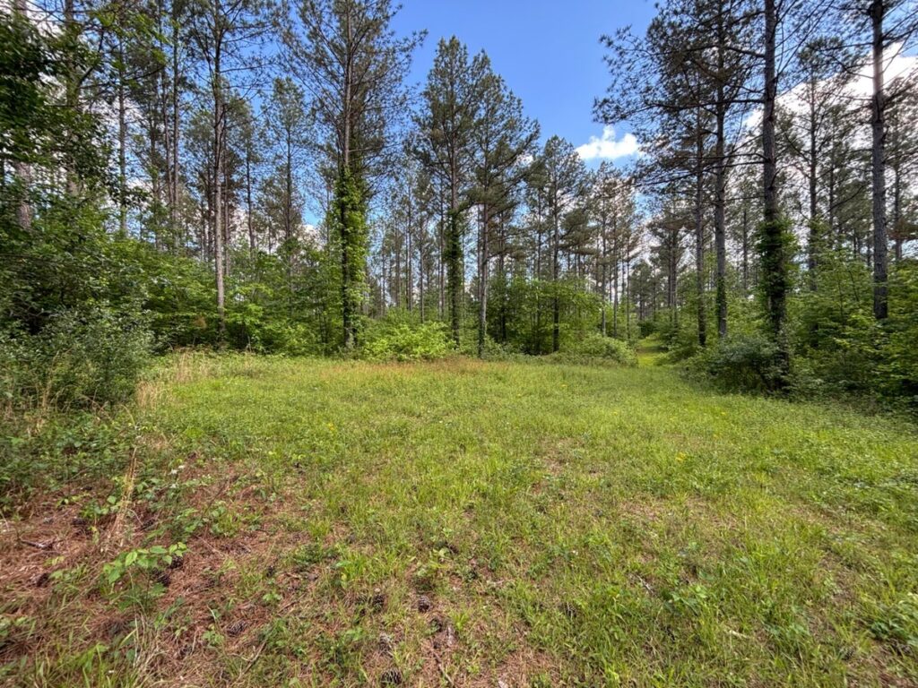 Property photo for land for sale in Sequatchie County Tennessee