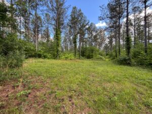 Property photo for land for sale in Sequatchie County Tennessee