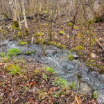 Property photo for land for sale in Somerset County Maine