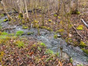 Property photo for land for sale in Somerset County Maine