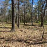 Property photo for land for sale in  County Michigan
