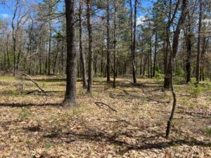 Property photo for land for sale in  County Michigan