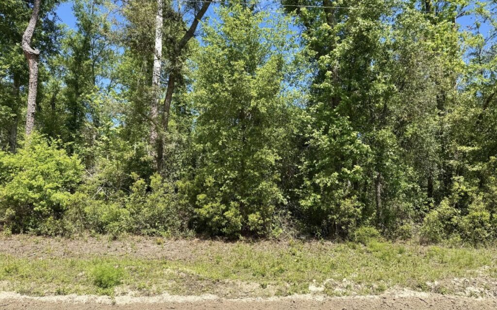 Property photo for land for sale in Hamilton County Florida