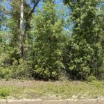 Property photo for land for sale in Hamilton County Florida