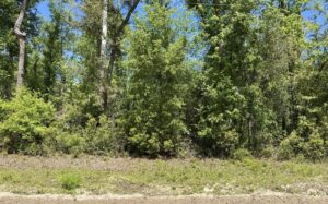 Property photo for land for sale in Hamilton County Florida