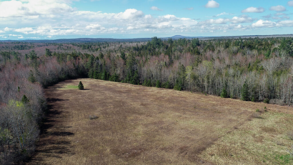 Property photo for land for sale in Hancock County Maine