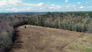 Property photo for land for sale in Hancock County Maine