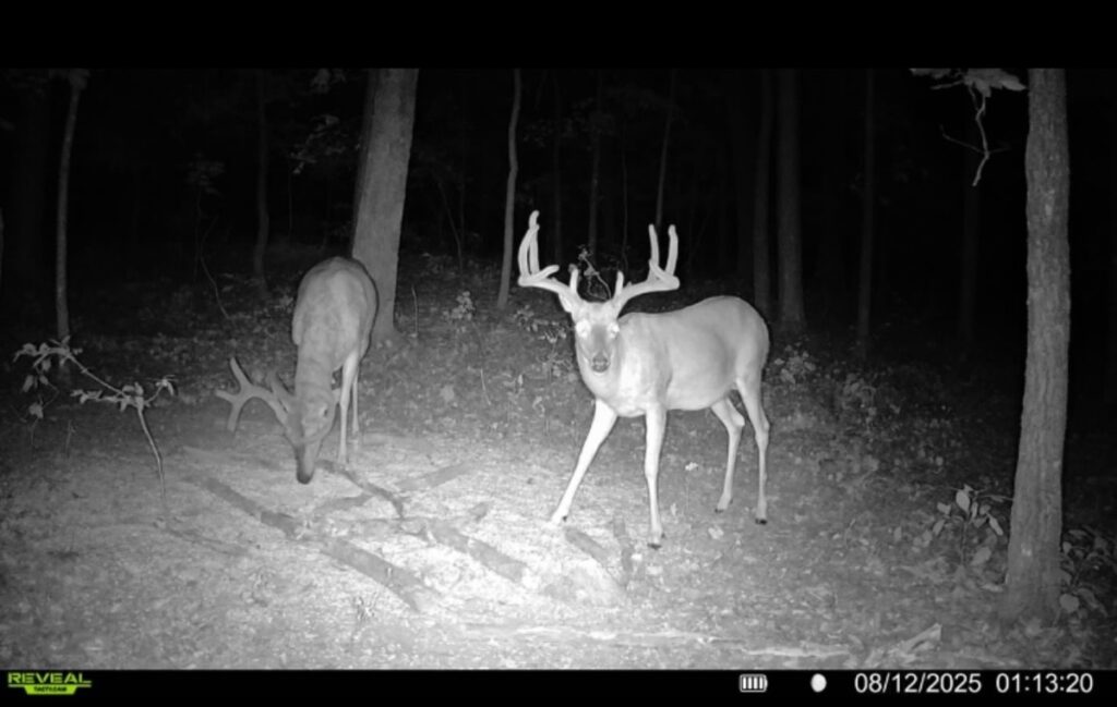 Property photo for land for sale in  County Louisiana