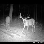 Property photo for land for sale in  County Louisiana