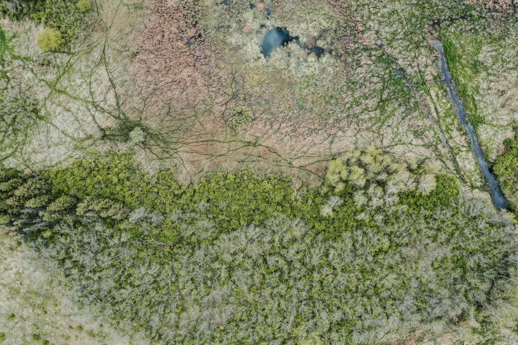 8b553978-fd1e-439e-952e-547349315218.jpg