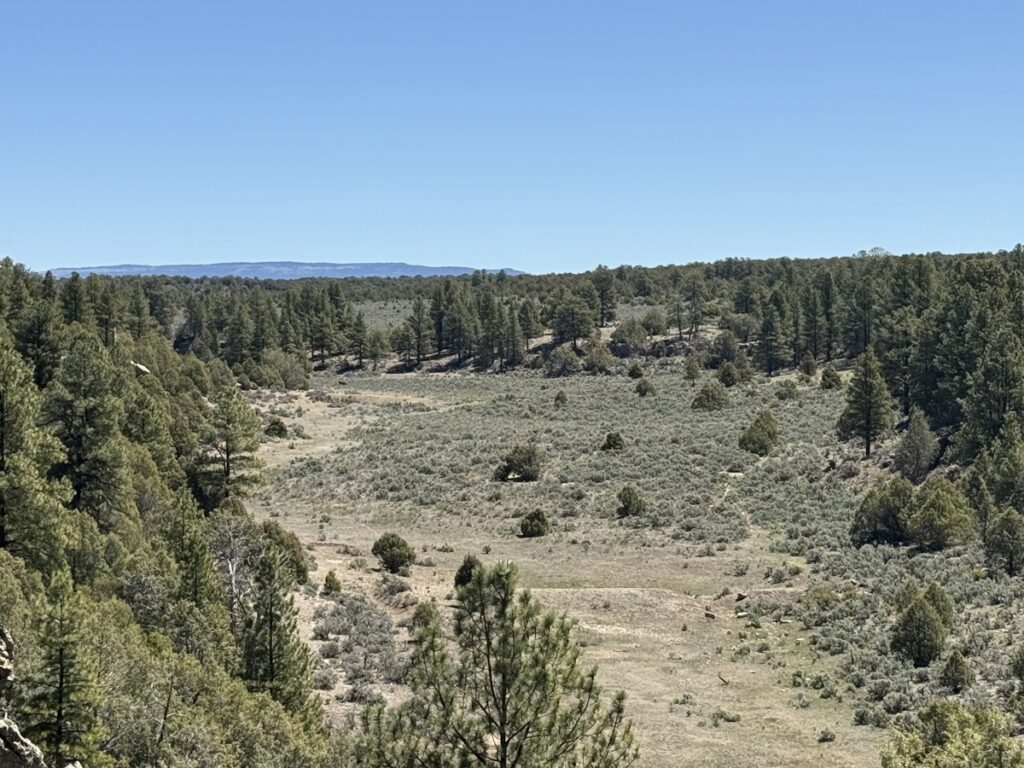 Property photo for land for sale in Rio Arriba County New Mexico