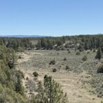 Property photo for land for sale in Rio Arriba County New Mexico