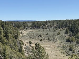 Property photo for land for sale in Rio Arriba County New Mexico