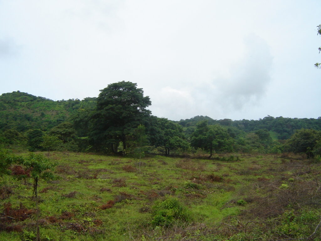 8bc773ce-ef22-438e-bf66-112635a87526.jpg