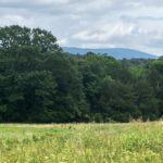 Property photo for land for sale in Le Flore County Oklahoma