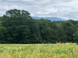 Property photo for land for sale in Le Flore County Oklahoma