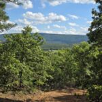 Property photo for land for sale in Le Flore County Oklahoma