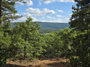 Property photo for land for sale in Le Flore County Oklahoma
