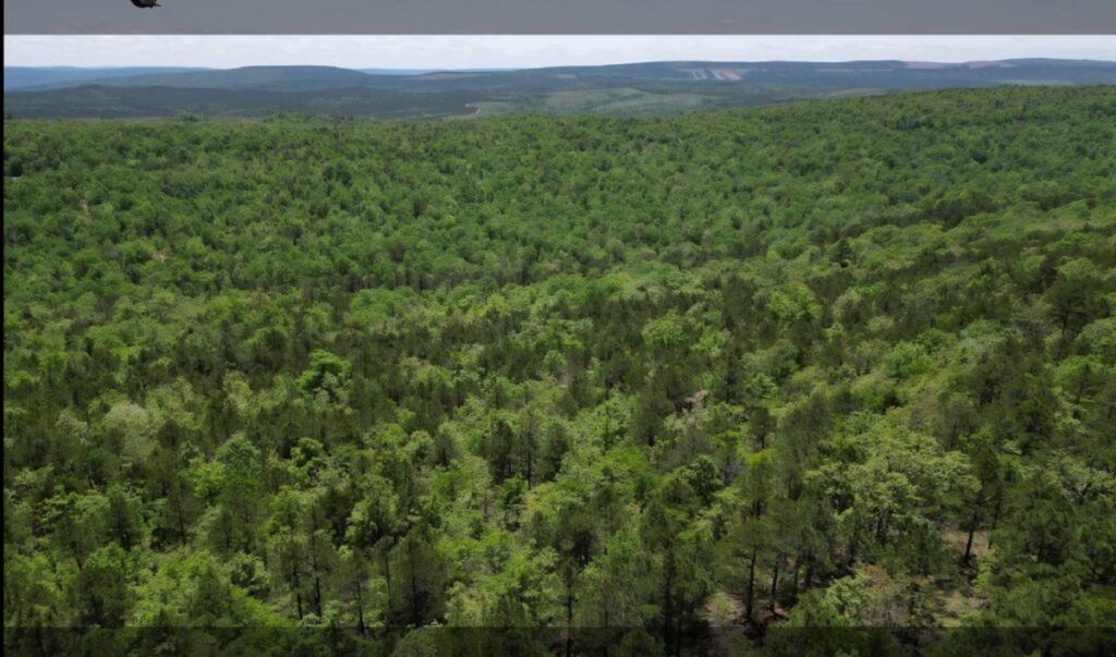 Property photo for land for sale in Pushmataha County Oklahoma