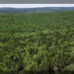 Property photo for land for sale in Pushmataha County Oklahoma