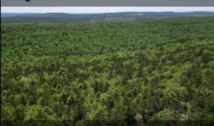 Property photo for land for sale in Pushmataha County Oklahoma