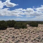 Property photo for land for sale in Apache County Arizona