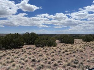 Property photo for land for sale in Apache County Arizona