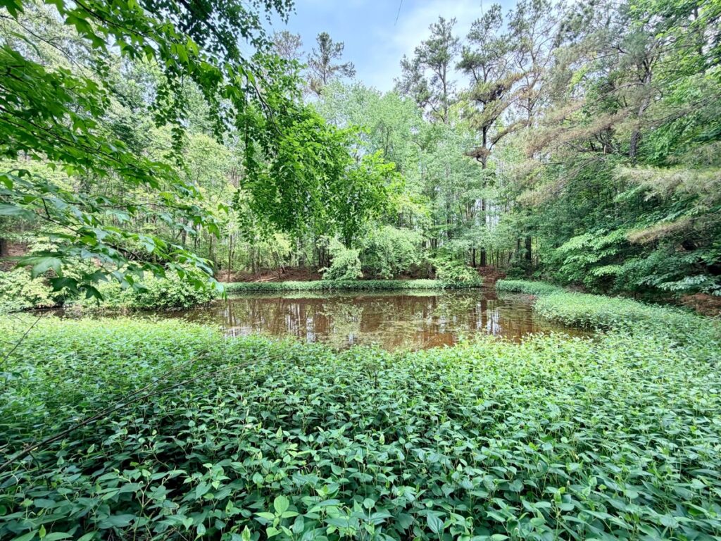 Property photo for land for sale in Prentiss County Mississippi